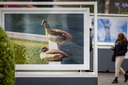 The Living Neighbourhood at Wembley Park